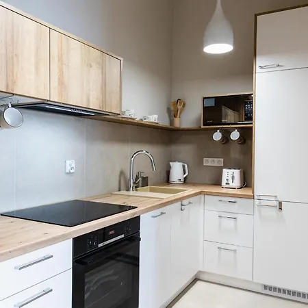 Apartament Latte Z Sauna I Silownia - Jezioro Zywieckie, Laguna Beskidow Zarzecze  Exterior photo